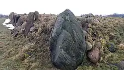 Capeshøj