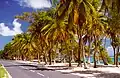 Uferstraße am Plage de Capesterre