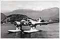 Caproni Ca.316