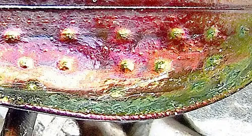 Abb. 13: Gruben Flügeldecke Carabus rutilans