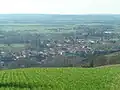 Blick auf Carbonne