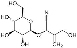 Strukturformel von Cardiospermin