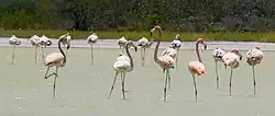 Parque Nacional Jaragua