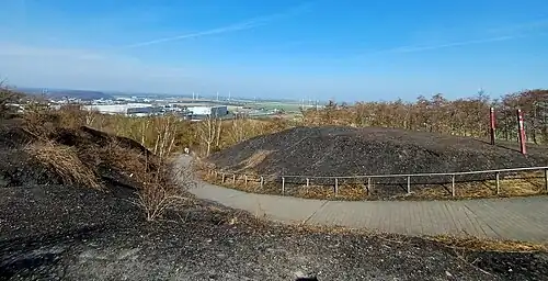 Haldenplateau