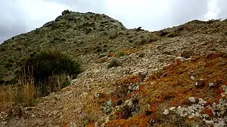 El Carmolí