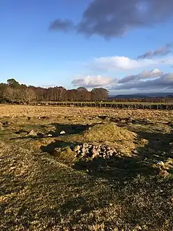 Carn Glas