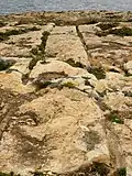 Schleifspuren an der Westküste von Gozo, ins Meer führend