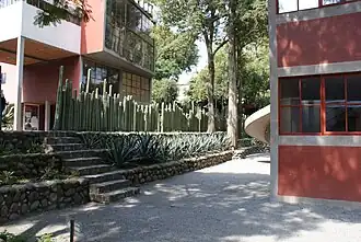 Kaktusmauer zwischen den Grundstücken der Häuser von Diego Rivera, Frida Kahlo und Juan O’Gorman (Pedregal de San Ángel)