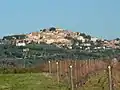 Panorama von Castagneto Carducci