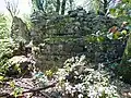 Alte Burgruine