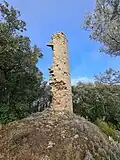 Burgrest von Montmajor