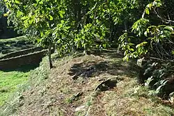 Wall