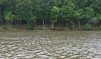 Catawba River