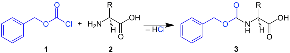 Einführung einer Cbz-Schutzgruppe