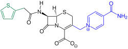 Cefalonium