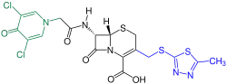 Cefazedon