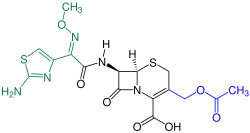 Cefotaxim