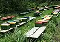 Zuchtkästen für Bienen-Königinnen