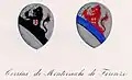Wappen beider Zweige in Sommario Storico delle Famiglie Celebri Toscane (Florenz 1863)