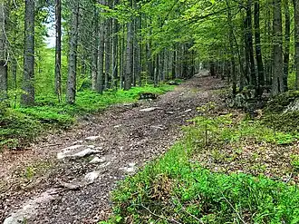 Weg zum Strážný