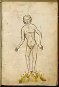 … Cgm 32, … Kalender und Praktika, 14. Jahrhundert[60][61]
