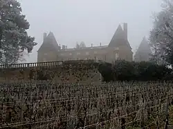 Burg Laye