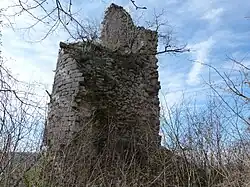Burgruine