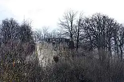 Burgruine