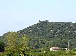 Burgruine