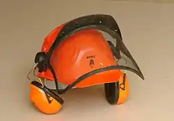Forstschutzhelm