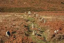 Challacombe Down