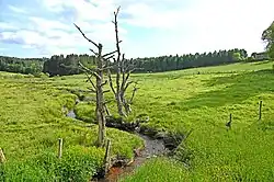 Champdieu-Bach