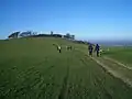 Chanctonbury Ring