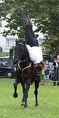 Schulterhang, Frankreich, 2005