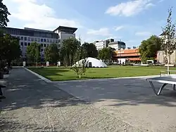 Steinplatz