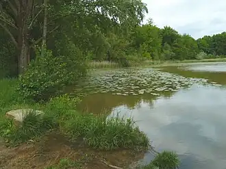 Charlottensee