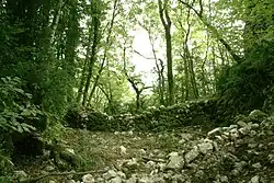Überreste des Château de Montgriffon