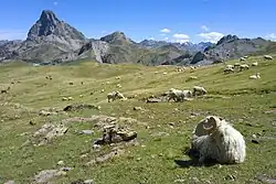 Col des Moines, Long Trail