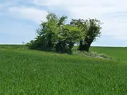 Dolmen de la Pierre Folle