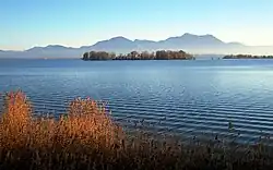 Blick über die Krautinsel Richtung Alpen