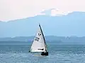 Chiemseeplätte 456
