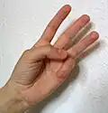 3 – Alternative mit gestrecktem Zeige-, Mittel- und Ringfinger