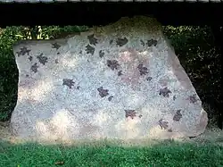 Platte aus „Rötquarzit“ (Oberer Buntsandstein) mit Reptilien-Fußspuren (Chirotherium) bei Külsheim.