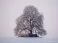 Winterliche Ansicht