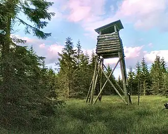 Gipfelbereich