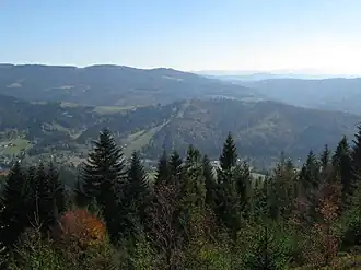 Niederer Cienków
