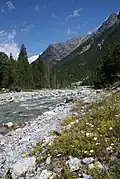 Zwischen S-charl und der Schlucht