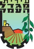 Wappen von Migdal haʿEmeq