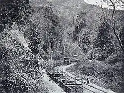 Ein Zug mit unbeladenen Langholzwagen im dichtbewachsenen Wald