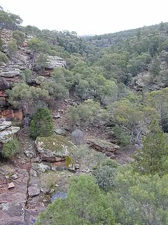 Stone Creek im Cocoparra-Nationalpark